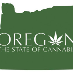 MJIN_SM-State-of-Cannabis-Logo-Web-500x281